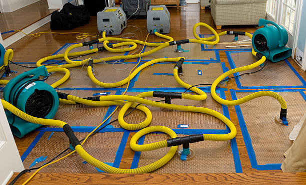 Professional Storm Water Damage Restoration technician working in Leola, PA